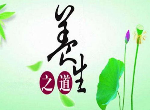 震惊！2026年这些道家秘术将颠覆你的认知！不看后悔一辈子！