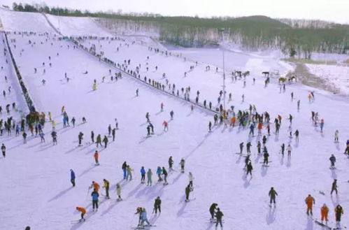 夜场票价：80-100元（感受夜晚滑雪的独特魅力）