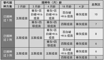 替代方案推荐