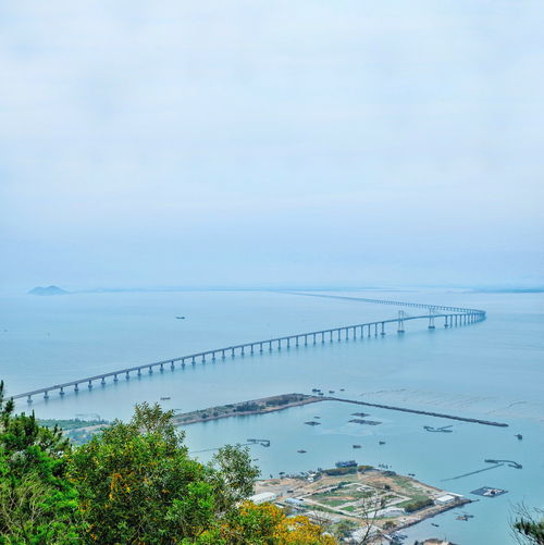 1.1 较大桥观景台的“免费开放”陷阱