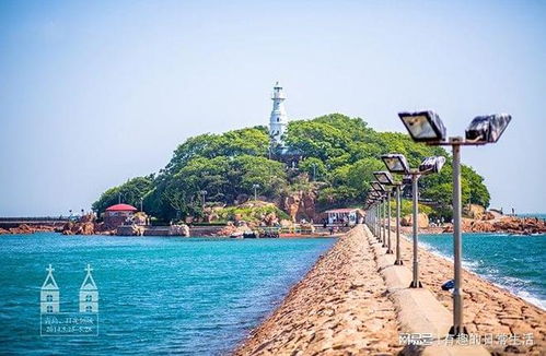 第一阶段：青岛出发， 驶向北方
