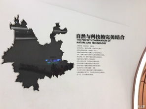交通指南：如何抵达花之城