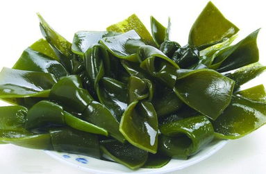海带和番茄：这两个家伙有点意思
