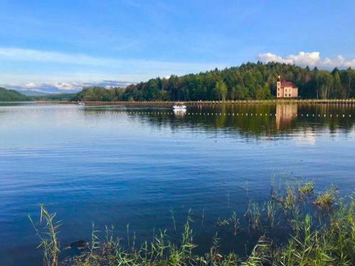 真实案例：2025年血泪教训合集