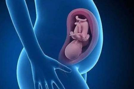 已婚女人怀孕四个半月，为何频繁梦见小孩？