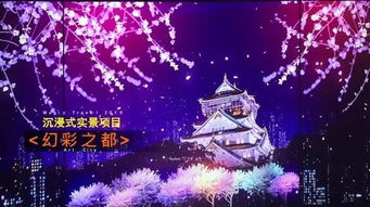 春日午后的闲适时光