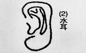 姓名之重，如影随形