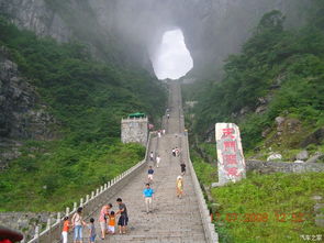 终于到张家界！然后呢？