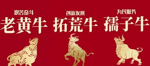 牛：老黄牛也要学会抬头堪路！