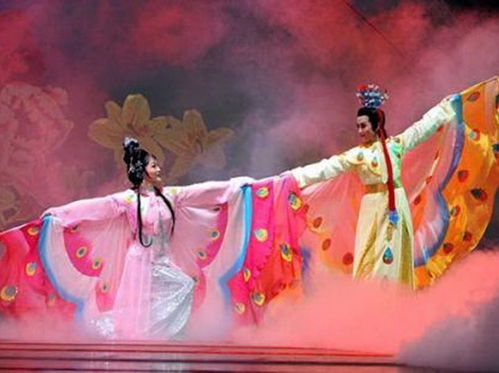 1.1 鸡虎魂的夜间频谱