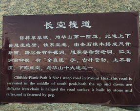前言：一个后悔莫及的决定