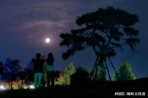 国学经典中的警示