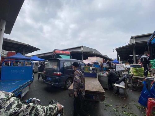 我的悲惨经历：被堵在收费站的绝望时刻