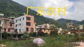 新兴镇狮山村,新兴县簕竹镇狮子腰风水