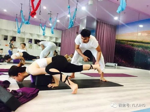 瑜伽馆名字免费服务到底是个啥玩意儿？