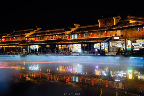 四、 夜色中的灯光秀——花灯、鱼灯、海棠灯……你选哪个？