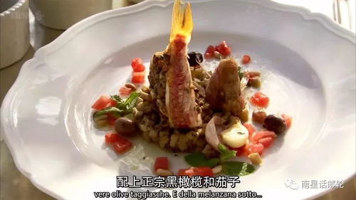 6. 蒲扇面：清凉解暑