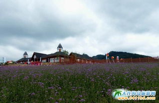 那些没人告诉你的血泪真相