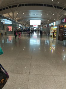 南昌机场/火车站至庐山，快速攻略，一票直达！