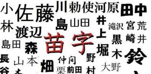 越南成为第一较大姓的原因