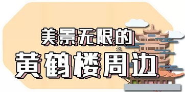 1.2 吃还是不吃?