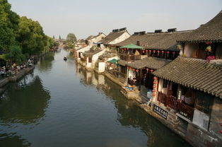 三、 吃遍西塘——从街边摊到星级餐厅，一口都不能放过！🍜🥟🍶