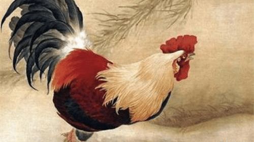属鸡配属猪财运如何？属猪和属鸡相克是什么含义？