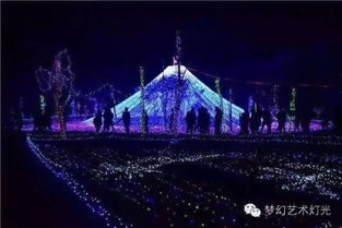 无微不至的服务