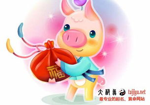 2026猪宝宝女宝宝起名，有没有什么特别好的名字推荐呢？