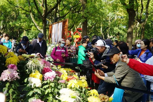 3、感受秋天的心跳—一次视觉与灵魂的双沉重冲击