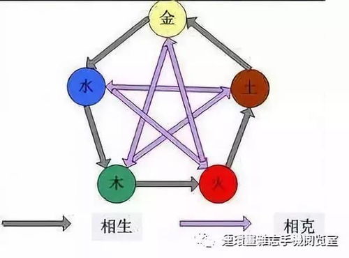 震惊！老祖宗留下的五行秘密竟然这么牛？看完怀疑人生！