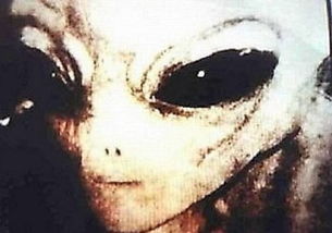 震惊！2026年这些人类竟被鬼怪疯狂倒贴！看完第3种直接吓尿