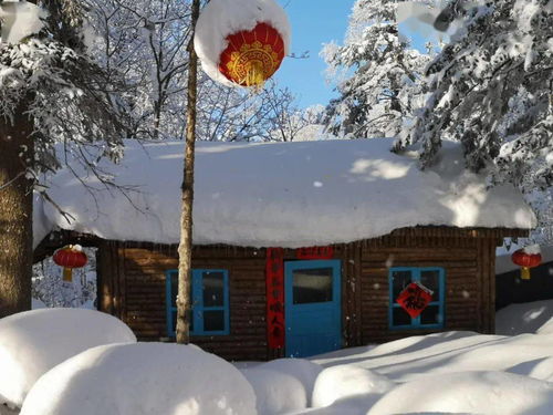 深入雪乡：不仅仅是看雪