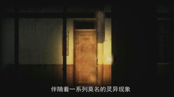 深夜的回响——哭声+生肖噪音