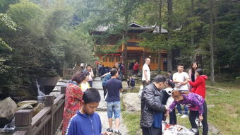 五一期间，郑州景区游客量超10万，外地游客络绎不绝，这是真的吗？