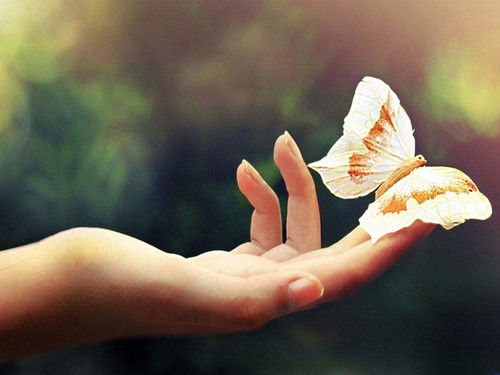 六、 余悸的余音与生肖的救赎