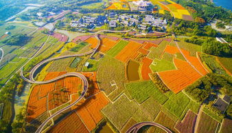 12.7平方公里的快乐天堂！孩子玩到不想回家！