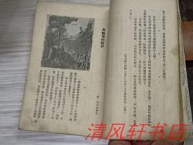 二、 乱序叙事：从湖光山色到街头巷尾的八卦新闻