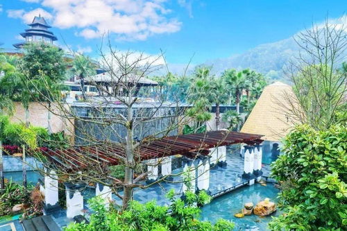 ① 福建永春:牛姆林+温泉?这是什么神仙组合!