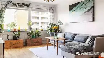 四、 植物养护大法：绿植不一定好，但随便种总比不种强？