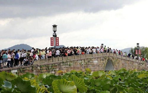 神秘的古港， 揭开面纱的诱惑