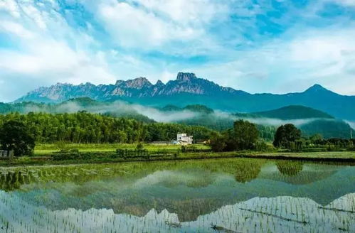 灵山：佛光闪耀的圣地