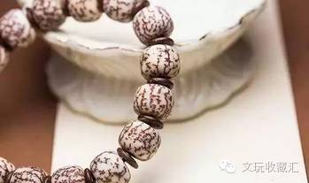 3. 静心老中医|蝉思菩提|菩提一叶