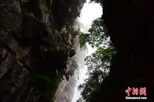 二、深度探秘——仙境里的奇葩活动集合