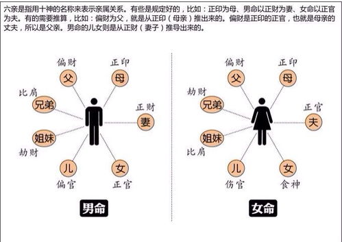 八字命理中带有将星的女性命运如何？将星在命理中属于什么等级？