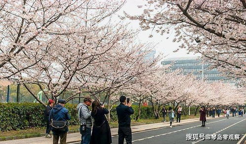 二、 欢乐城：梦幻般的梦境花园