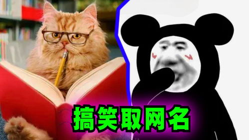 这个让人笑到肚子疼的网名，你叫什么呀？
