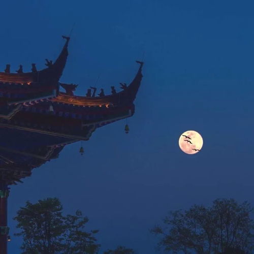 钟楼的暗地