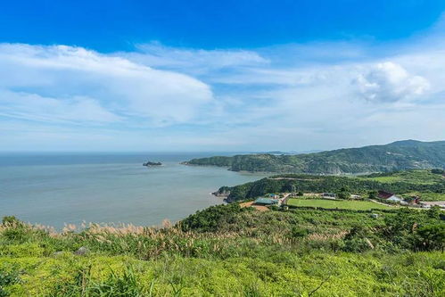 夏季牧场，牛羊悠闲漫步—可笑之处不止一次。