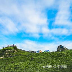 奇怪的收费项目（噪音）